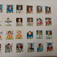 Figurine panini 1993-94