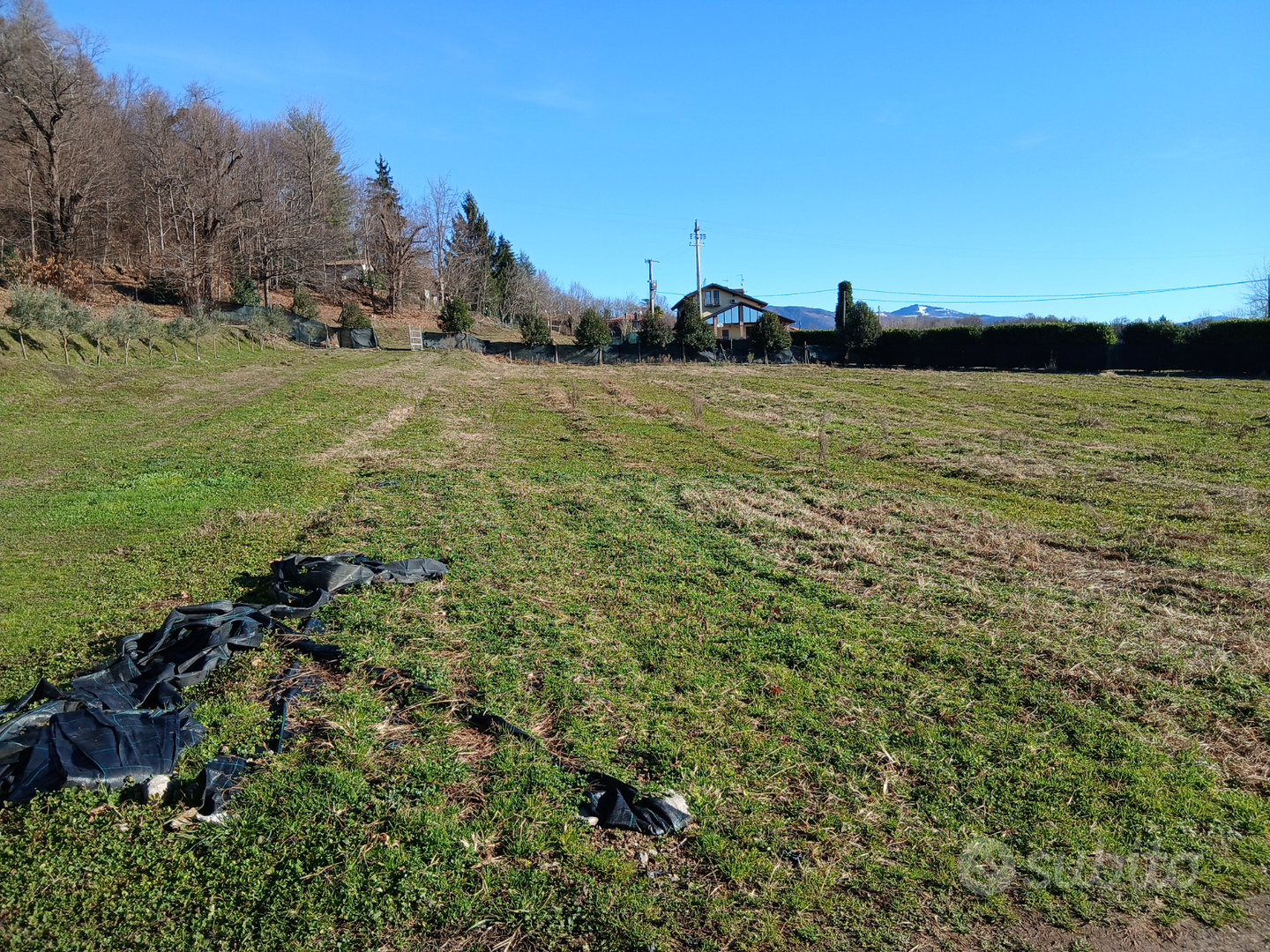 Terreno 3 ettari - Vista 5