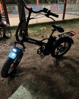 Bici elettrica