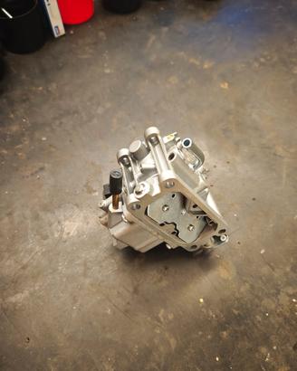 carburatore per tagliaerba 