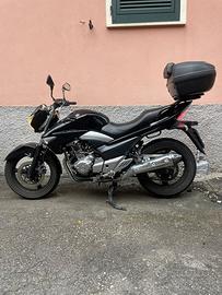 Titolo: Suzuki Inazuma 250 | A2 | Rapallo