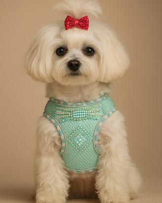 Pettorina cane geometrica