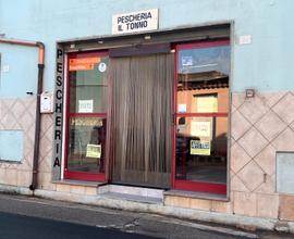 Locale commerciale, pescheria in centro