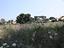 Immagine 20
