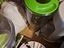 Immagine 2