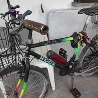 bicicletta