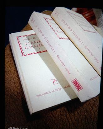 I fratelli karamazov vol. I-II-Iii di Dostoevskij 