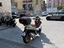 Immagine 7