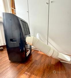 Condizionatore DeLonghi mod Pinguino