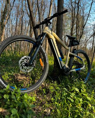 Haibike