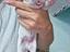 Immagine 6