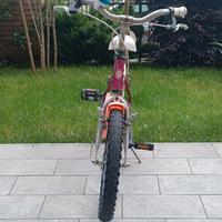 bici 16 bimba