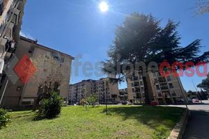 Mariconda- ampia soluzione