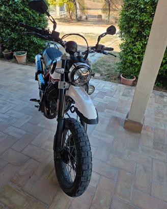 Ducati scrambler Desert Sled