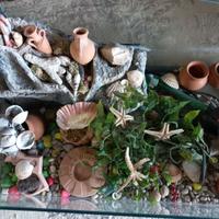 Acquario per tartarughe