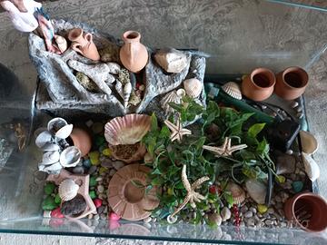 Acquario per tartarughe