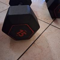 coppia di pesi in gomma 15 kg
