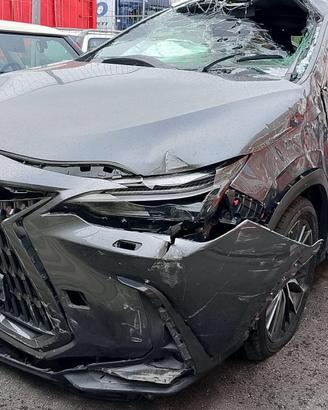 Lexus NX450 H+ 2023. 2.5 benzina /ibrida