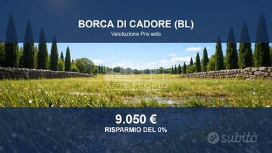 Immobile in asta di 2270 m² a Borca di Cadore