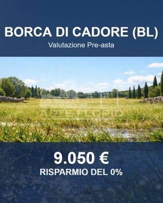 Immobile in asta di 2270 m² a Borca di Cadore