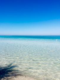 Mare Salento indipendente resort piscina