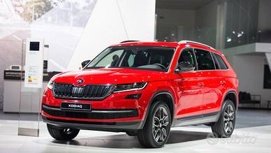 Ricambi Skoda kamiq karoq kodiaq Octavia Fabian 