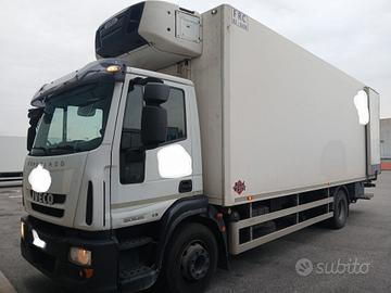 IVECO 150E28 FRIGO E SPONDA CARICATRICE