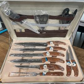 Set di coltelli per carne ad alta qualità