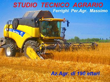 Terreno di 20 ettari a Poggio Renatico