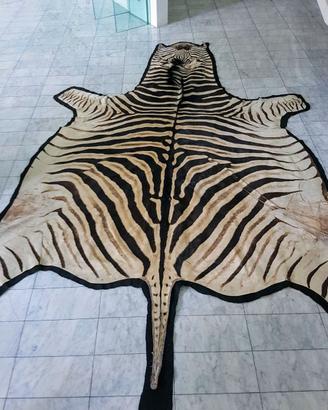 Tappeto Zebra originale