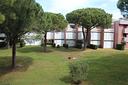 bilocale-con-piscina-libero-dal-05-al-12-luglio