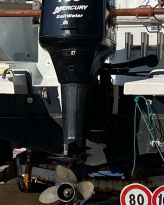 Fuoribordo Mercury Optimax 150CV