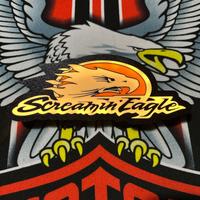 Insegna Luminosa Led Screamin Eagle Harley