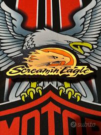 Insegna Luminosa Led Screamin Eagle Harley