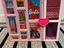 Immagine 1