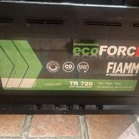 Batteria FIAMM
