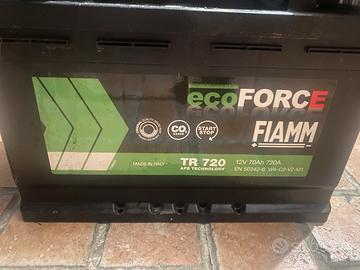 Batteria FIAMM