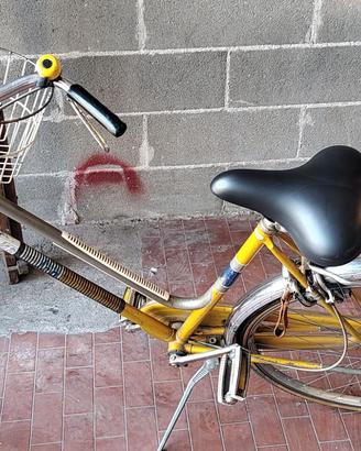 Bicicletta donna