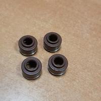 Paraoli guida valvola Triumph 3600004T03