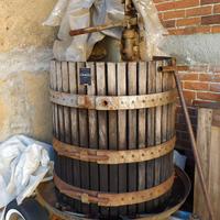 Torchio da uva Zambelli con martinetto idraulico