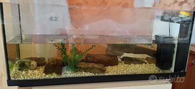 Vasca acquario per pesci /tartarughe