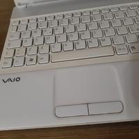 SONY VAIO PCG-71313M