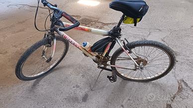 bicicletta da uomo