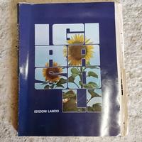 Fotoromanzo - Raccolta a puntate "I Girasoli"