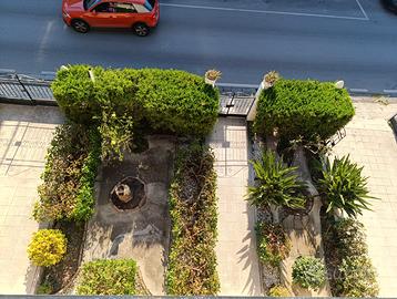 Appartamento indipendente con ampio giardino,
