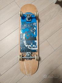 Skateboard the ripper