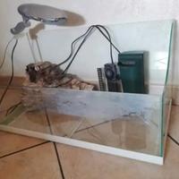 Occorrente per tartarughe d'acqua