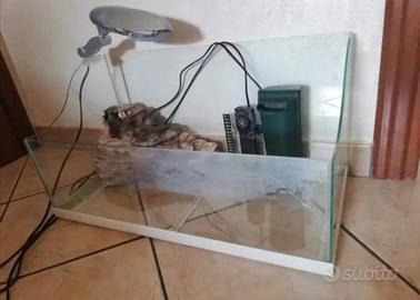 Occorrente per tartarughe d'acqua
