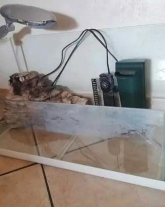 Occorrente per tartarughe d'acqua