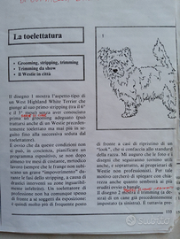West Highland White Terrier fascicolo toelettatura